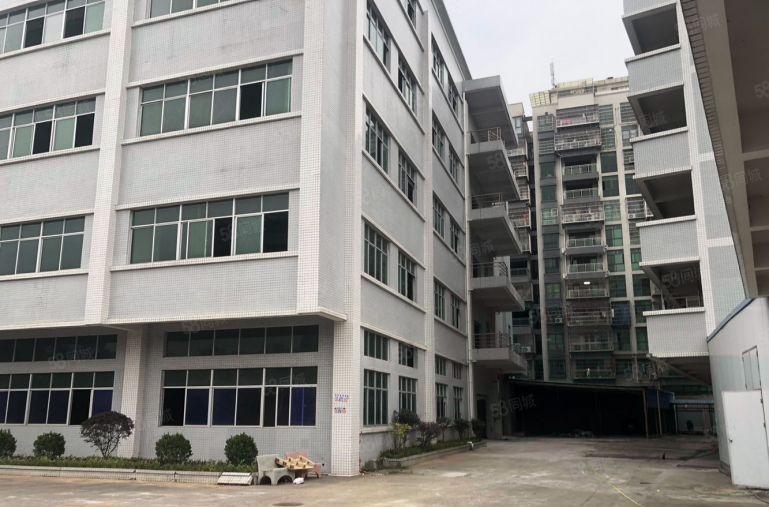 大朗大井头分租一楼3000平方，空地方大，可进出拖头