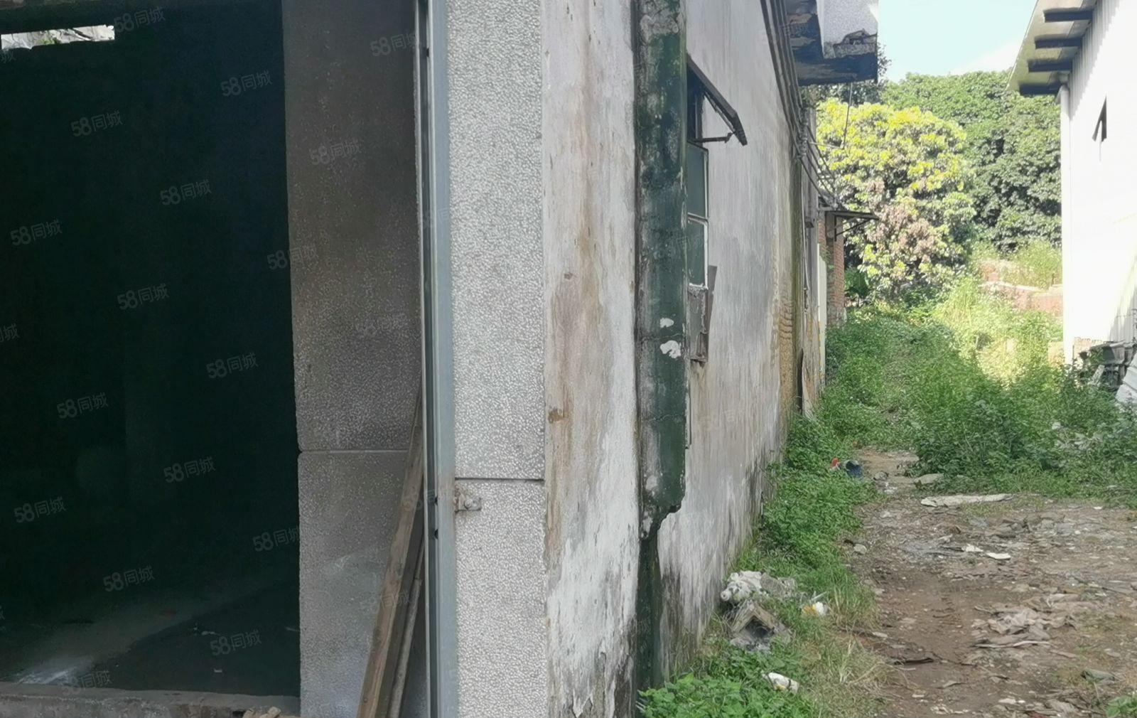 大朗新出单一层800平位置偏僻周边无居民可做噪音抛光等