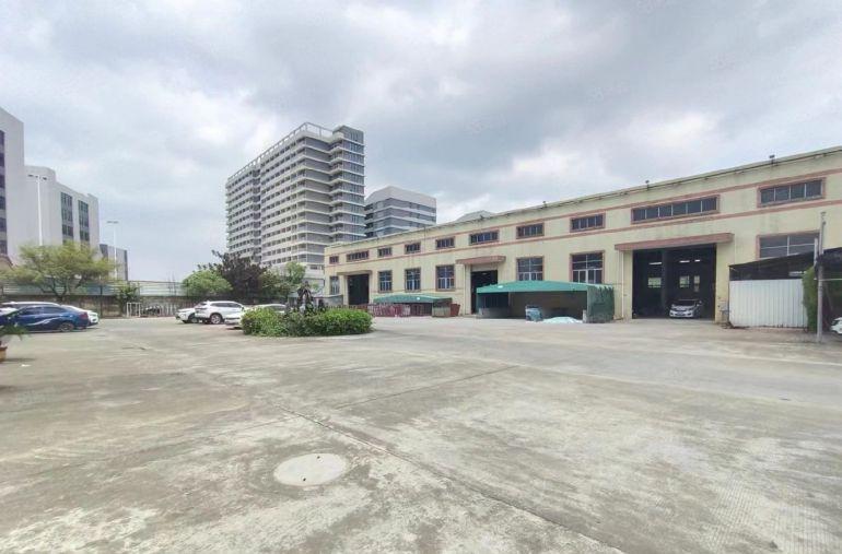 大朗镇新独院单一层4000平，滴水12米，空地3000平