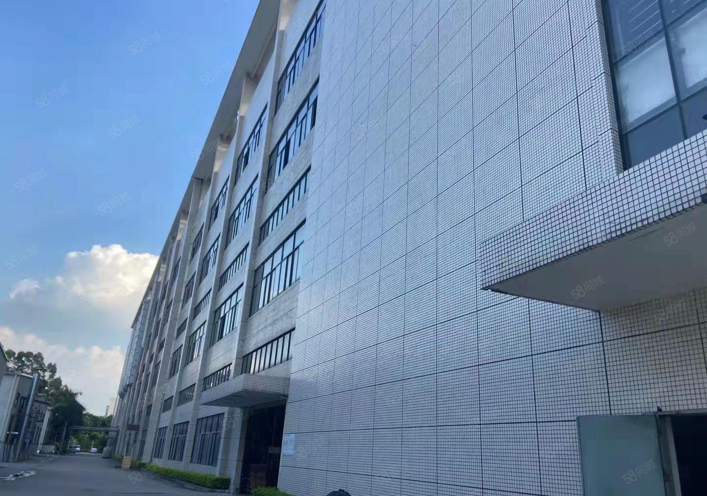 大朗靠近松山湖片区新出原房东红本厂房54000平方现成装修