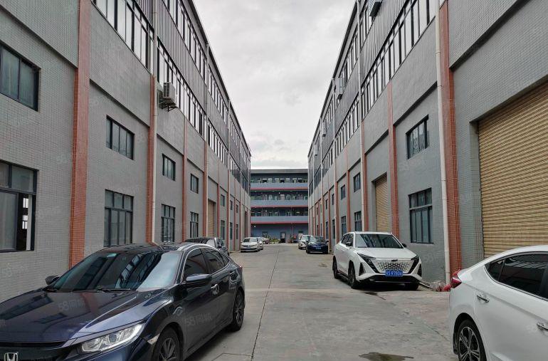 大朗镇石厦标准厂房一楼1300平方米，交通方便，高度7米