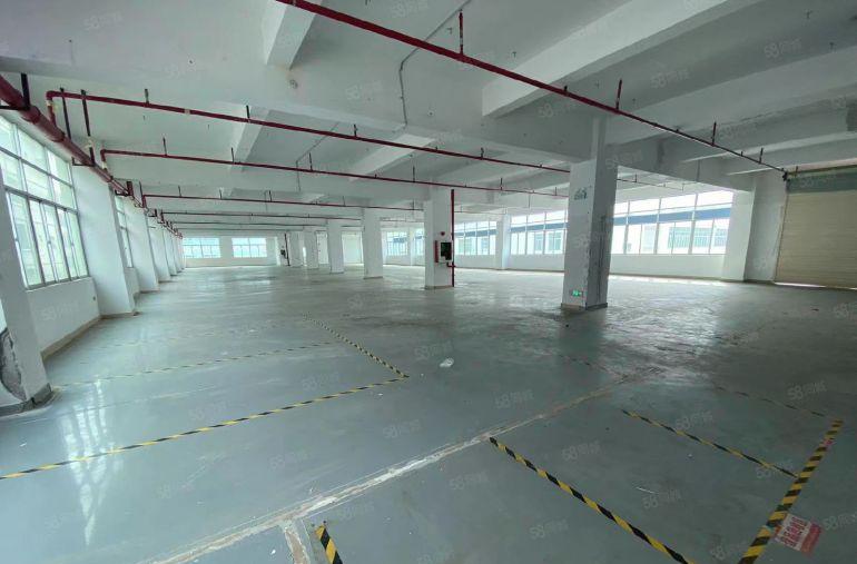 大朗镇大井头园区厂房出租8000平大小面积分租精装修水电齐全