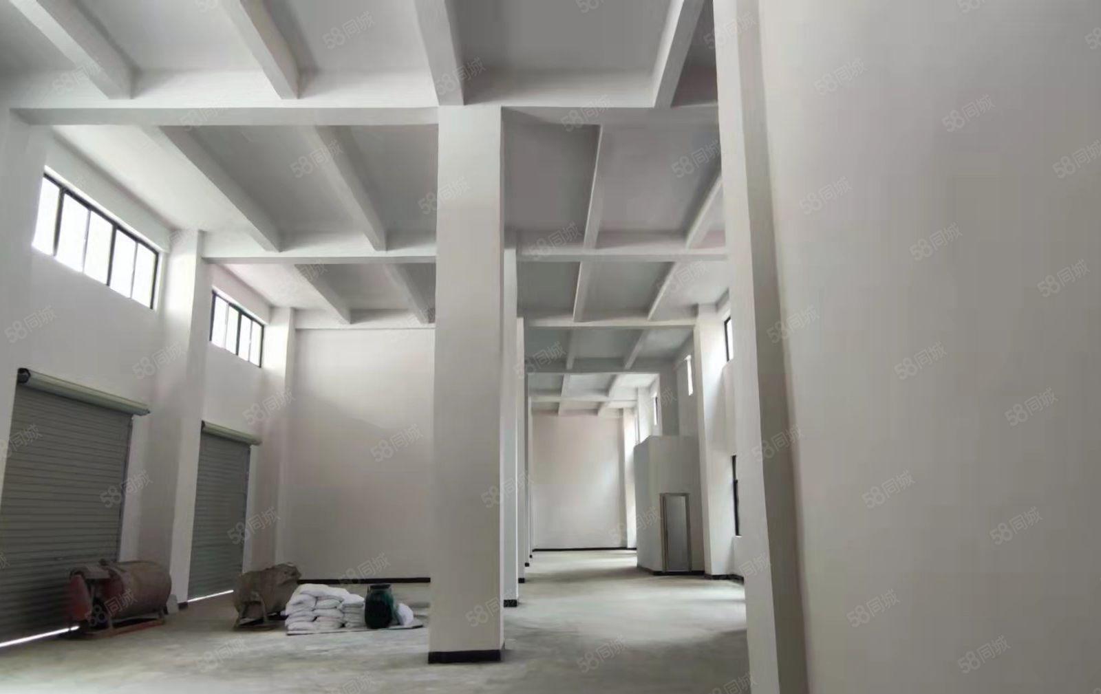 大朗竹山原房东独栋厂房出租，交通方便价格低