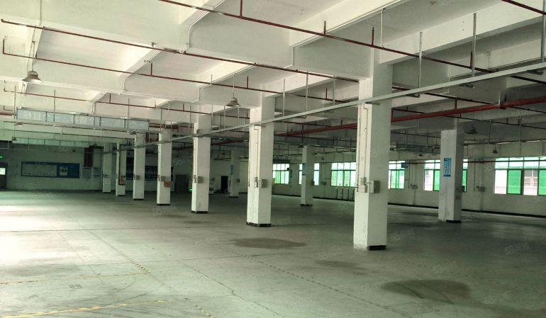 大朗 厂房出租 仓库出租 租写字楼 独门独院 小独院 大岭山