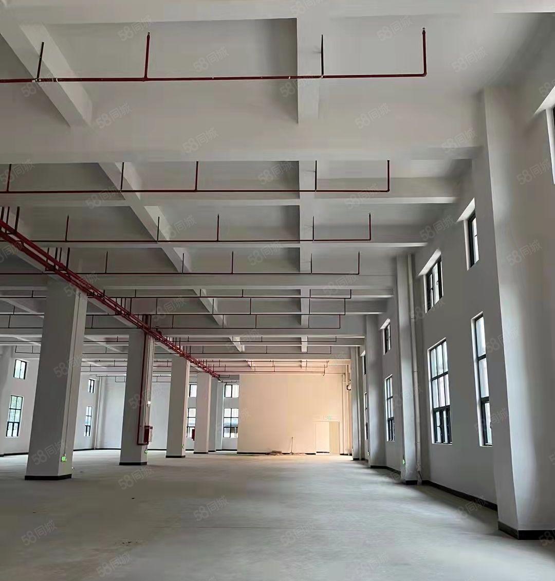 一楼900平起租 新马莲 独院厂房13000平 环评消防喷淋