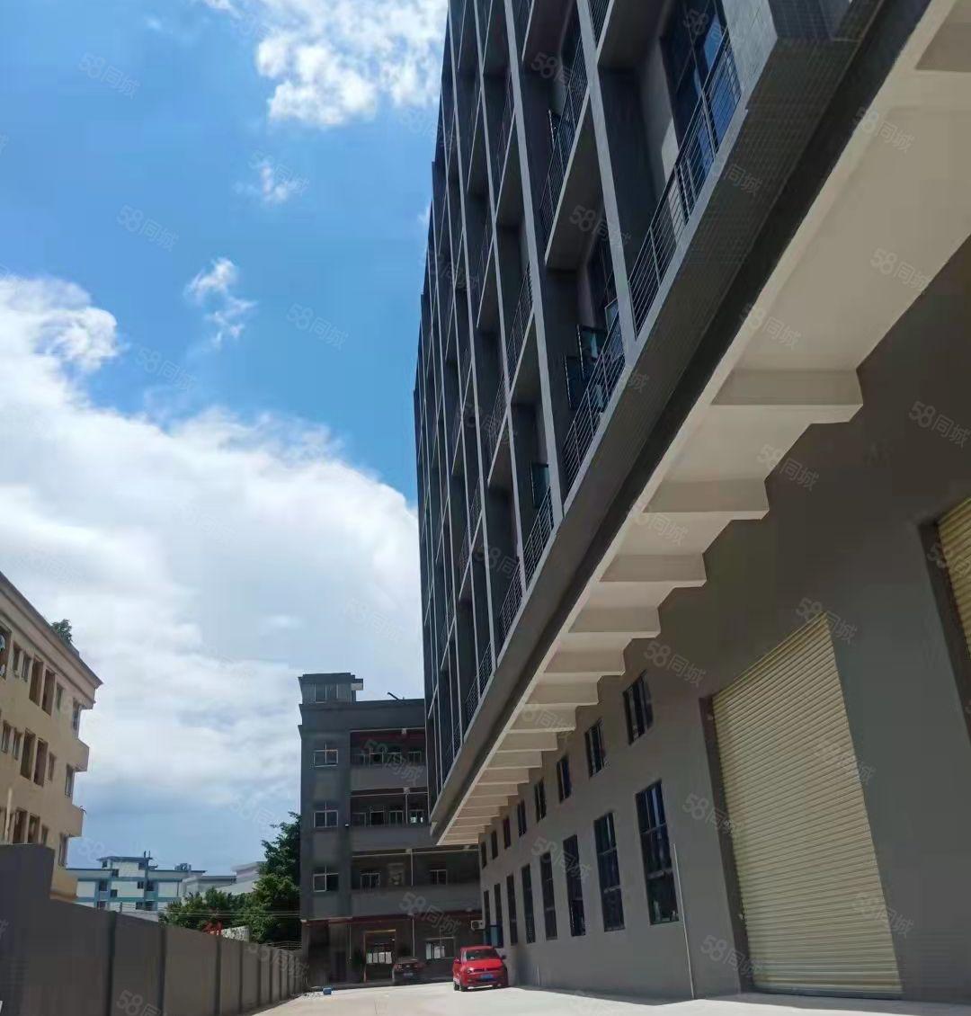 一楼900平起租 新马莲 独院厂房13000平 环评消防喷淋