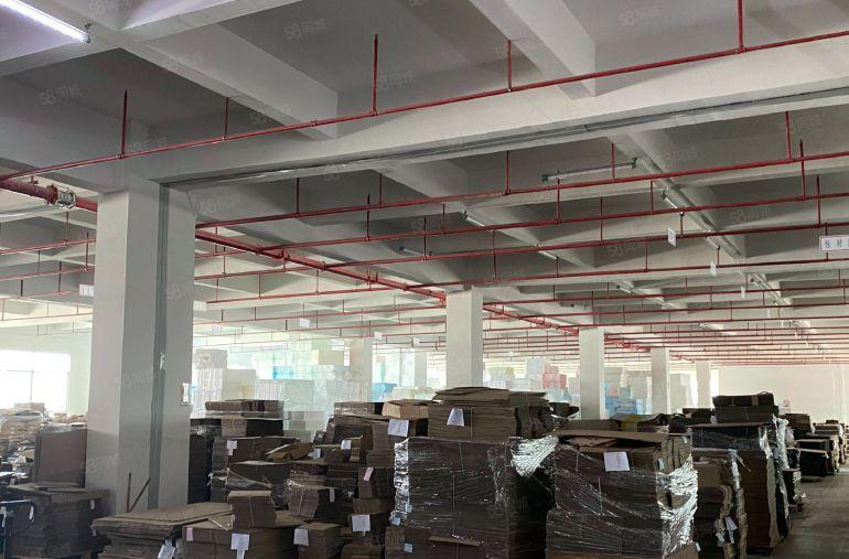 大朗镇水口原房东红本精装修可办环评厂房出租