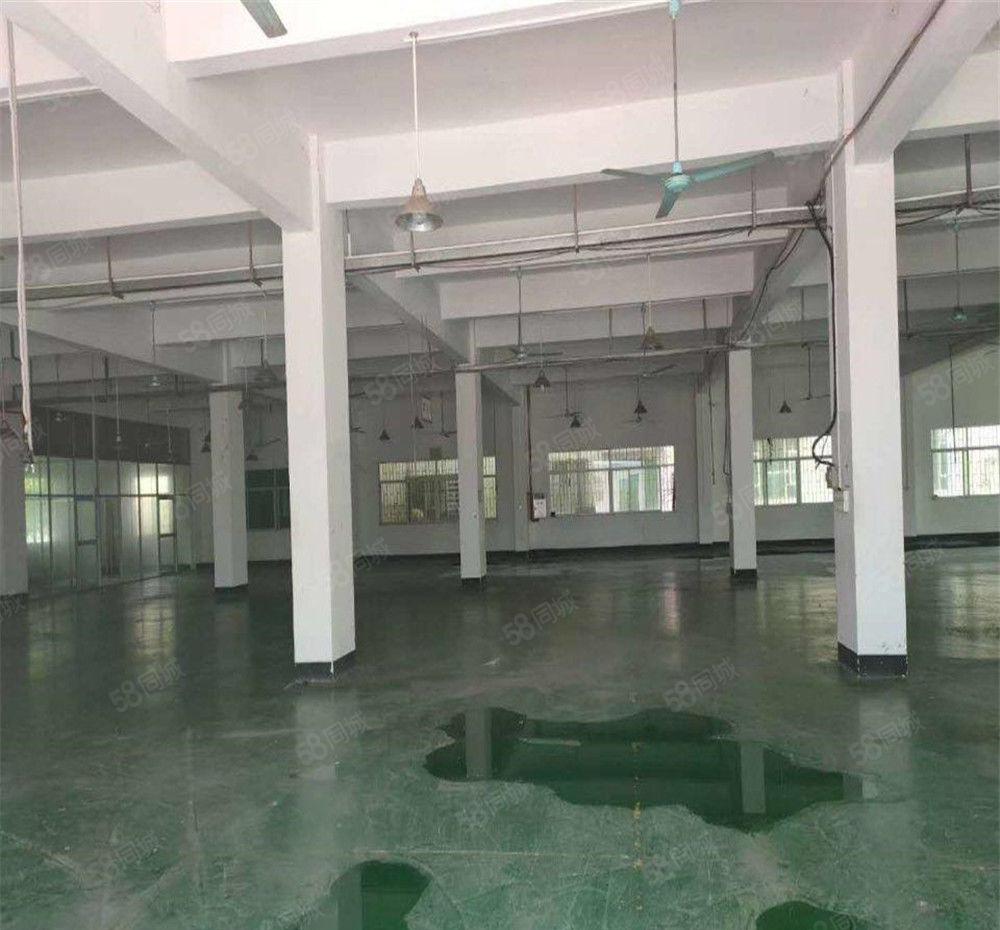 大朗工业园区仓库厂房出租2楼2100方，外观形象佳，交通便利