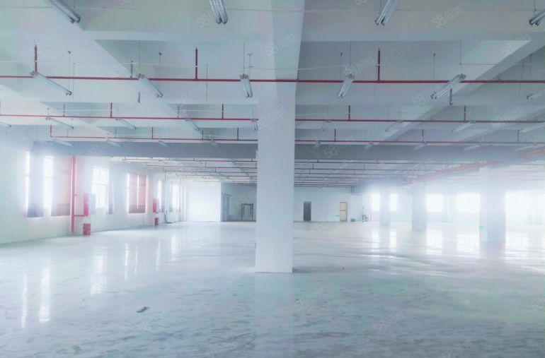 大朗全新带牛角标准厂房出租面积大小可分工业用地交通便利空地大