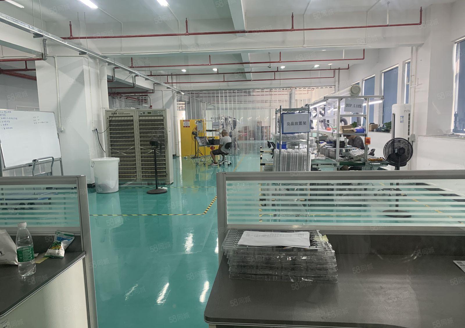 大朗象山原房东楼上1300平精装修厂房出租，