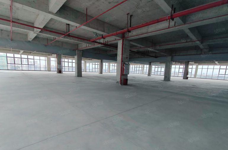 东莞厂房出租新园区500起大小可分租需要形象好 便宜就这里