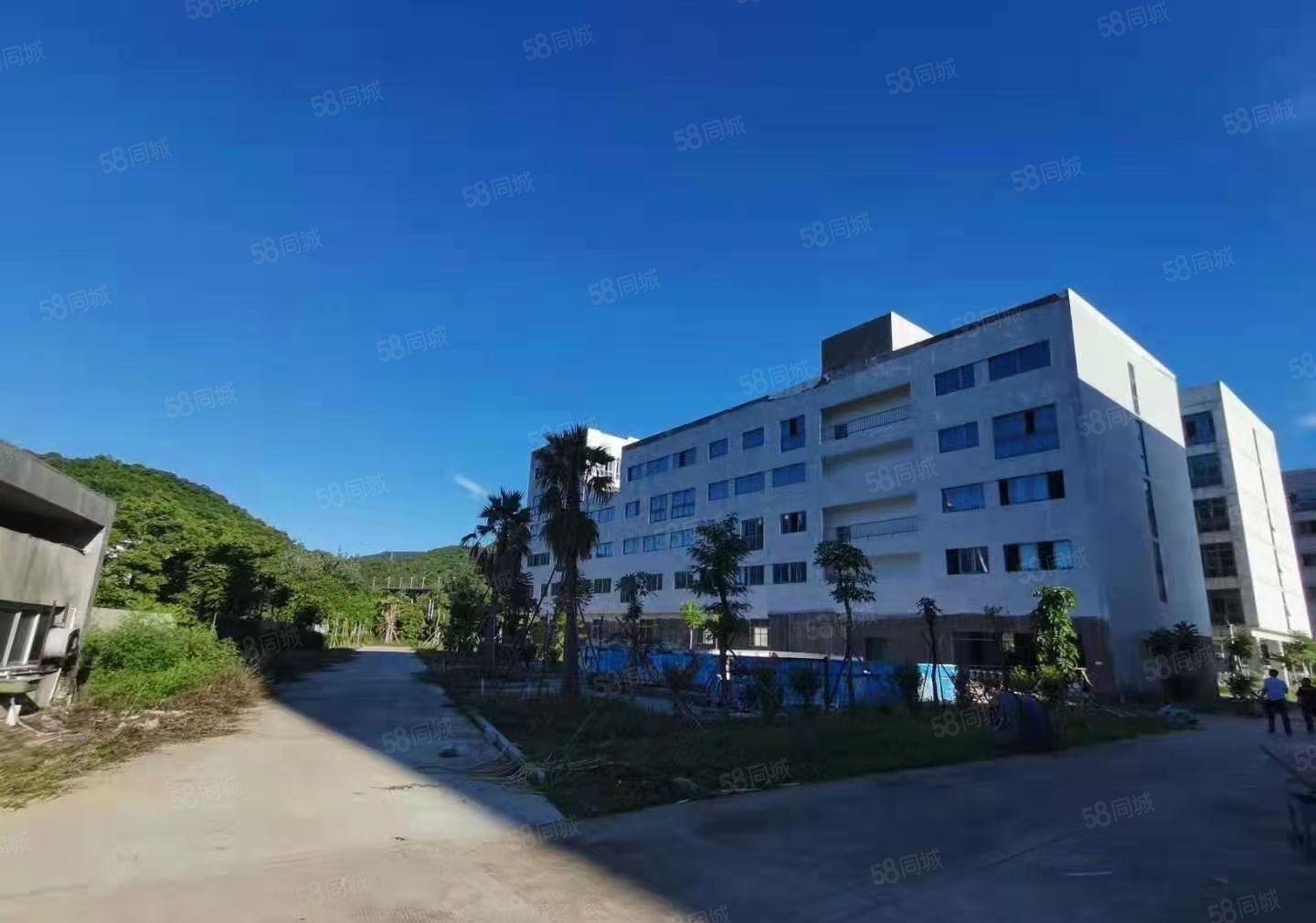 大朗大井头新出二楼1200平方出租园区空地超大