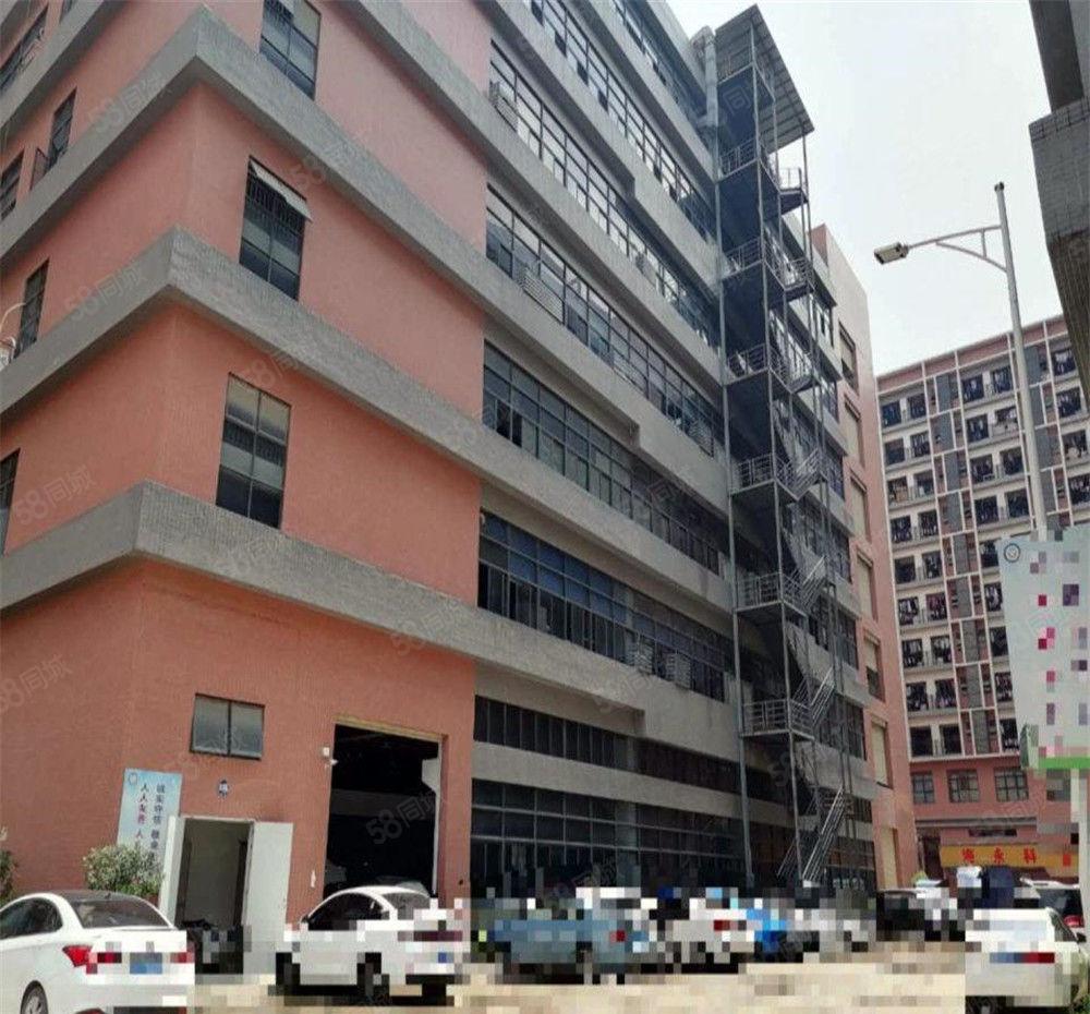 大朗工业园区厂房一楼带牛角2000平方，工业用地适合多种行业