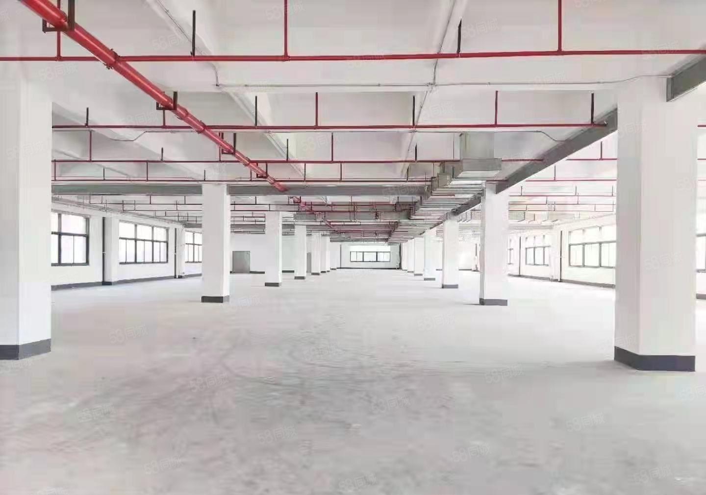 大朗镇新出原房东标准厂房可分租易招工