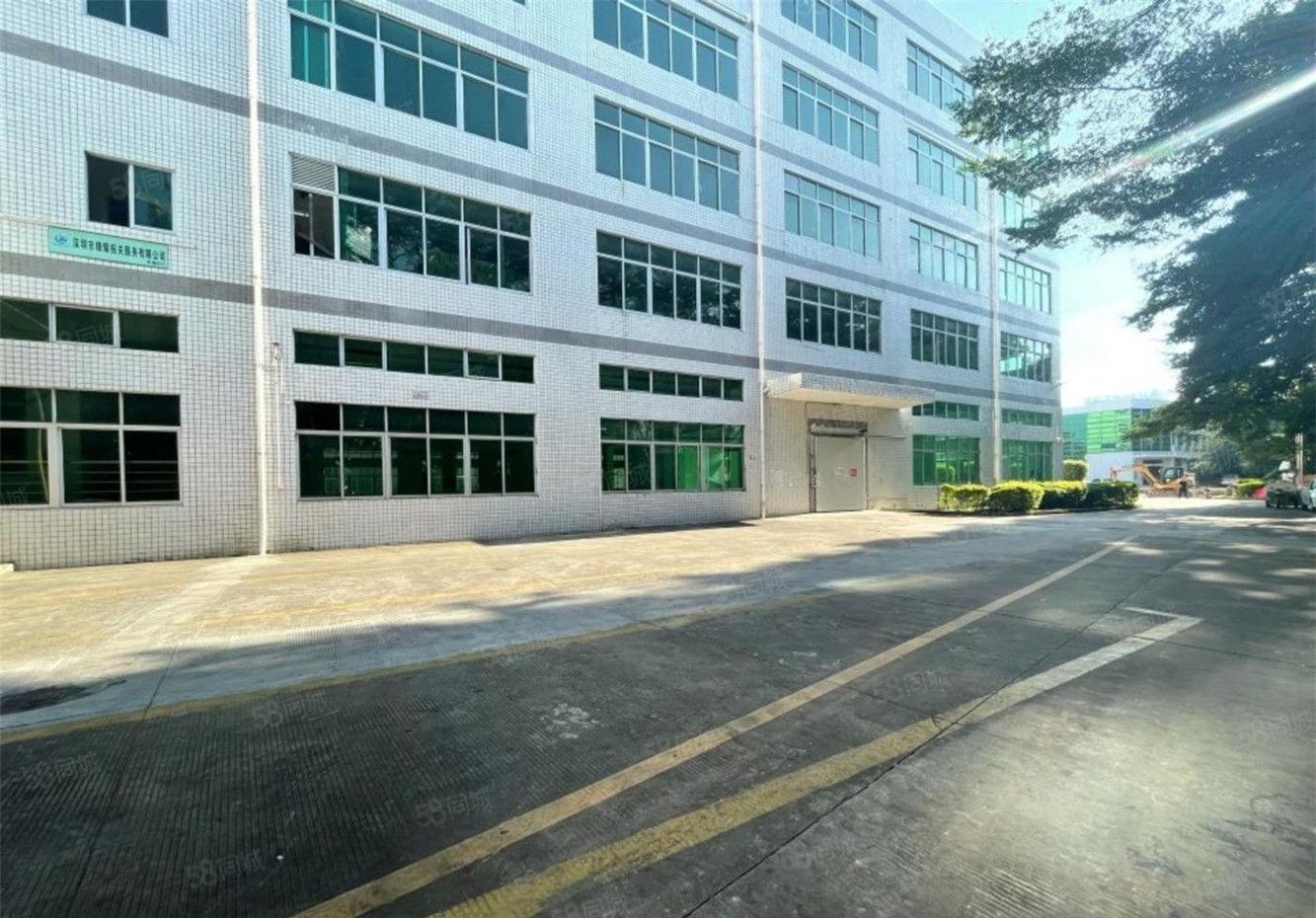 大朗仓库厂房出租2600方，高6米，工业用地不限行业交通便利