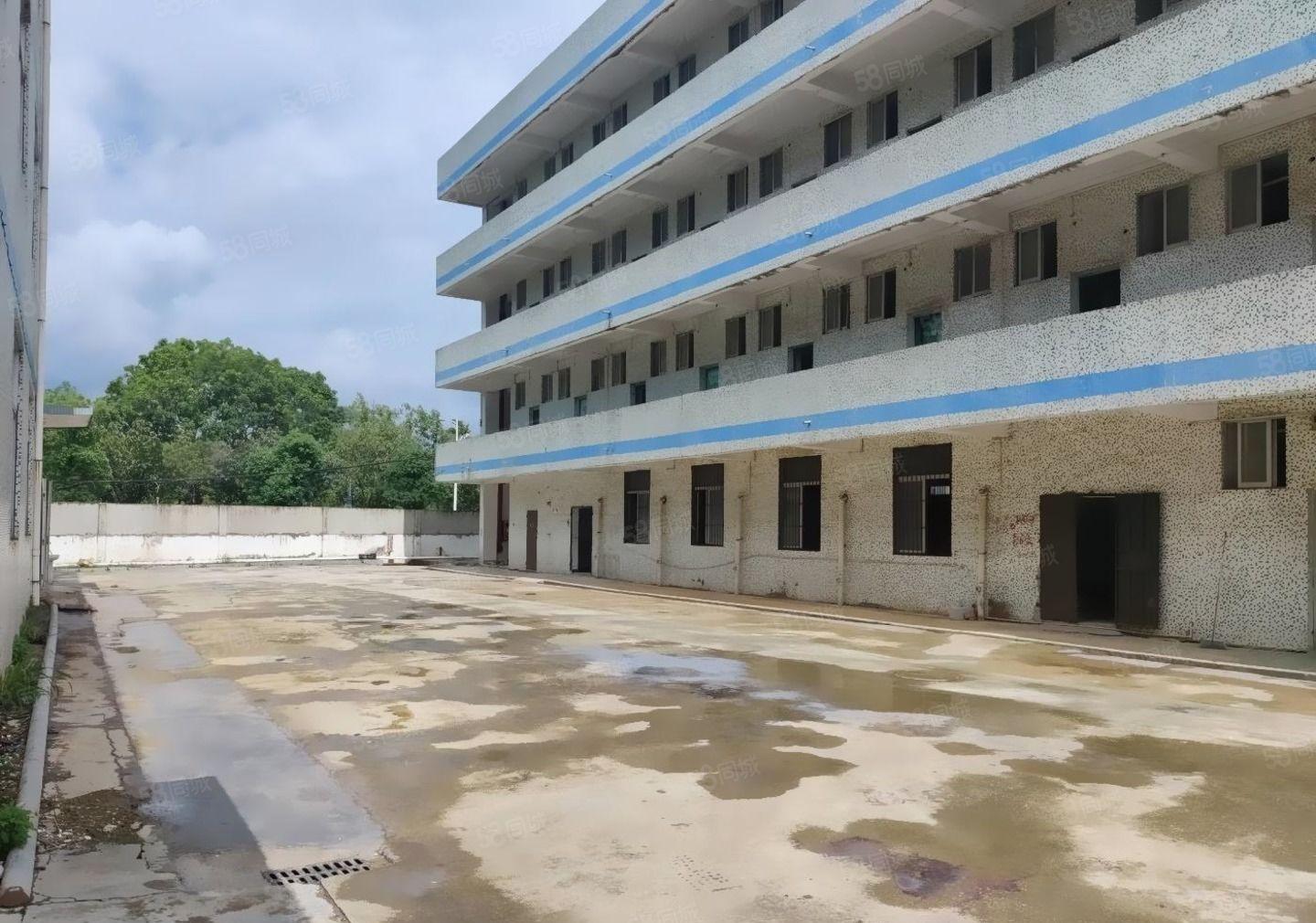 大朗工业独院厂房出租整栋4800方，可办环评，宿舍可按需出租