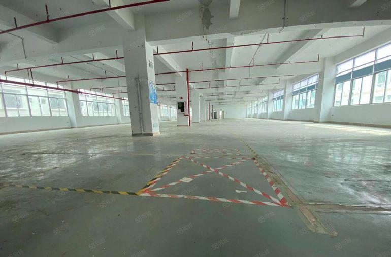 大朗镇大井头园区厂房出租8000平大小面积分租精装修水电齐全