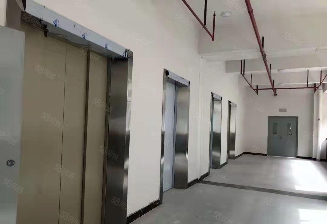 大朗高速路口高新园区厂房出租800平起低价分租 可喷油喷粉