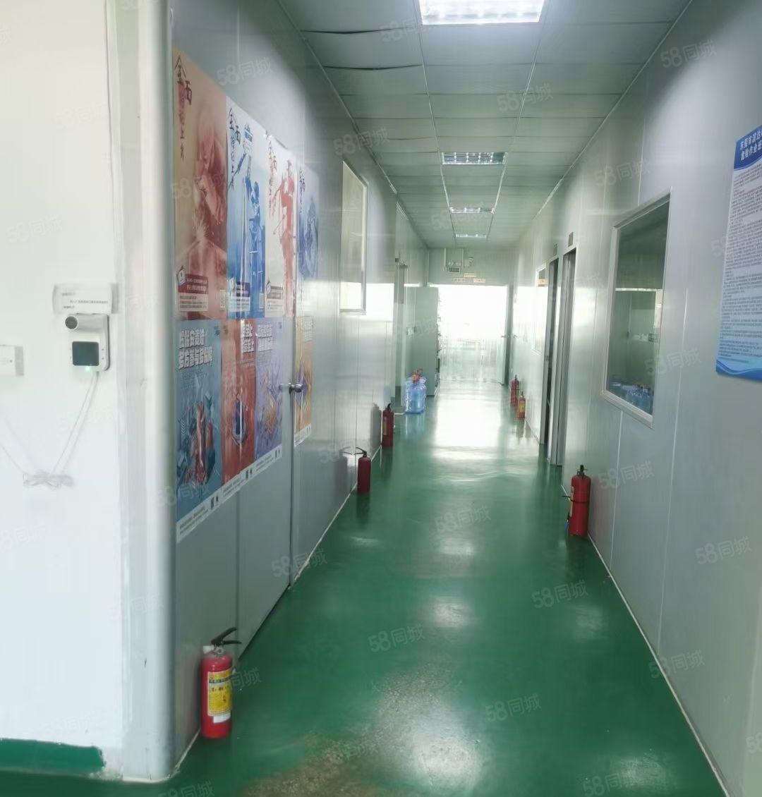 特价特价，带精装修不要转让费