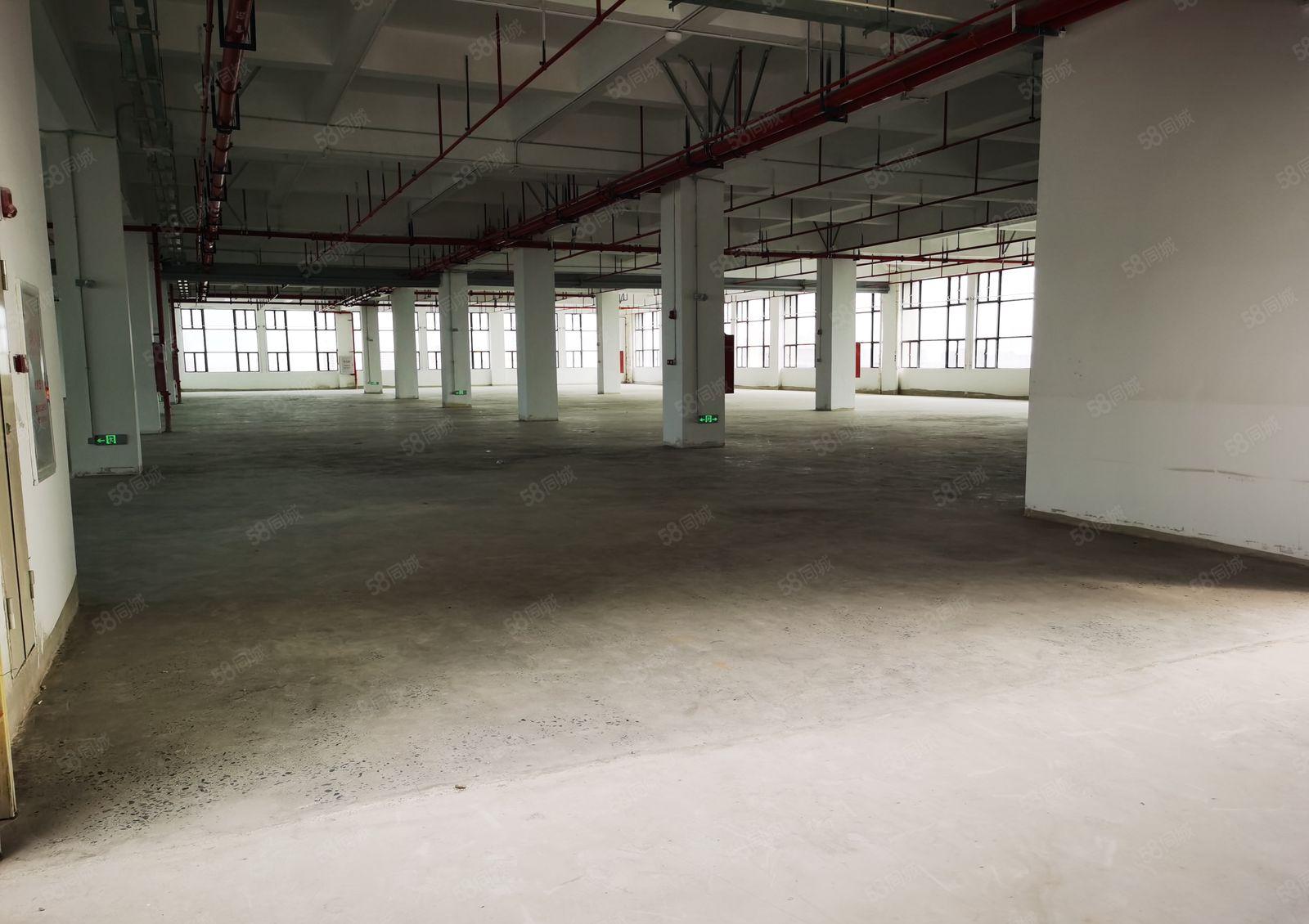 大朗镇新出原房东标准厂房可分租易招工
