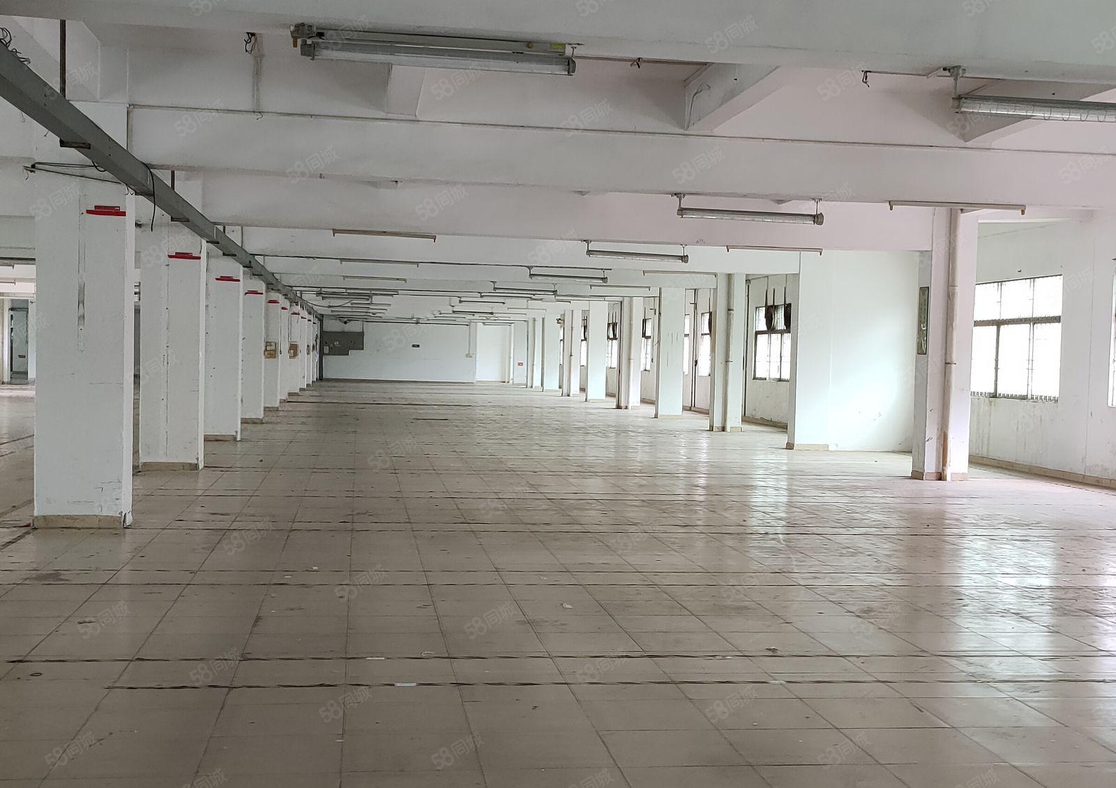 大朗村厂房出租，一至3楼，每层3000平，大小分租