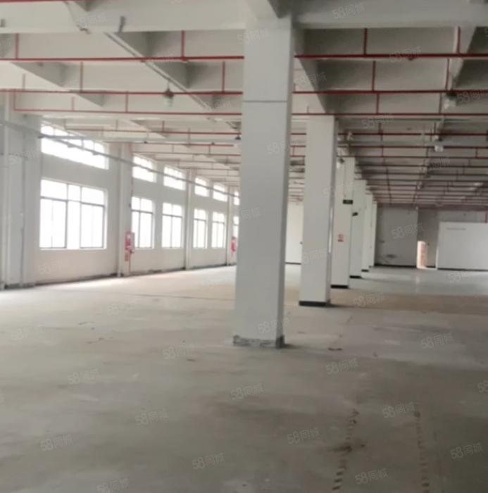 大朗靠松山湖一楼二楼3400平厂房出租 一楼牛角高7米