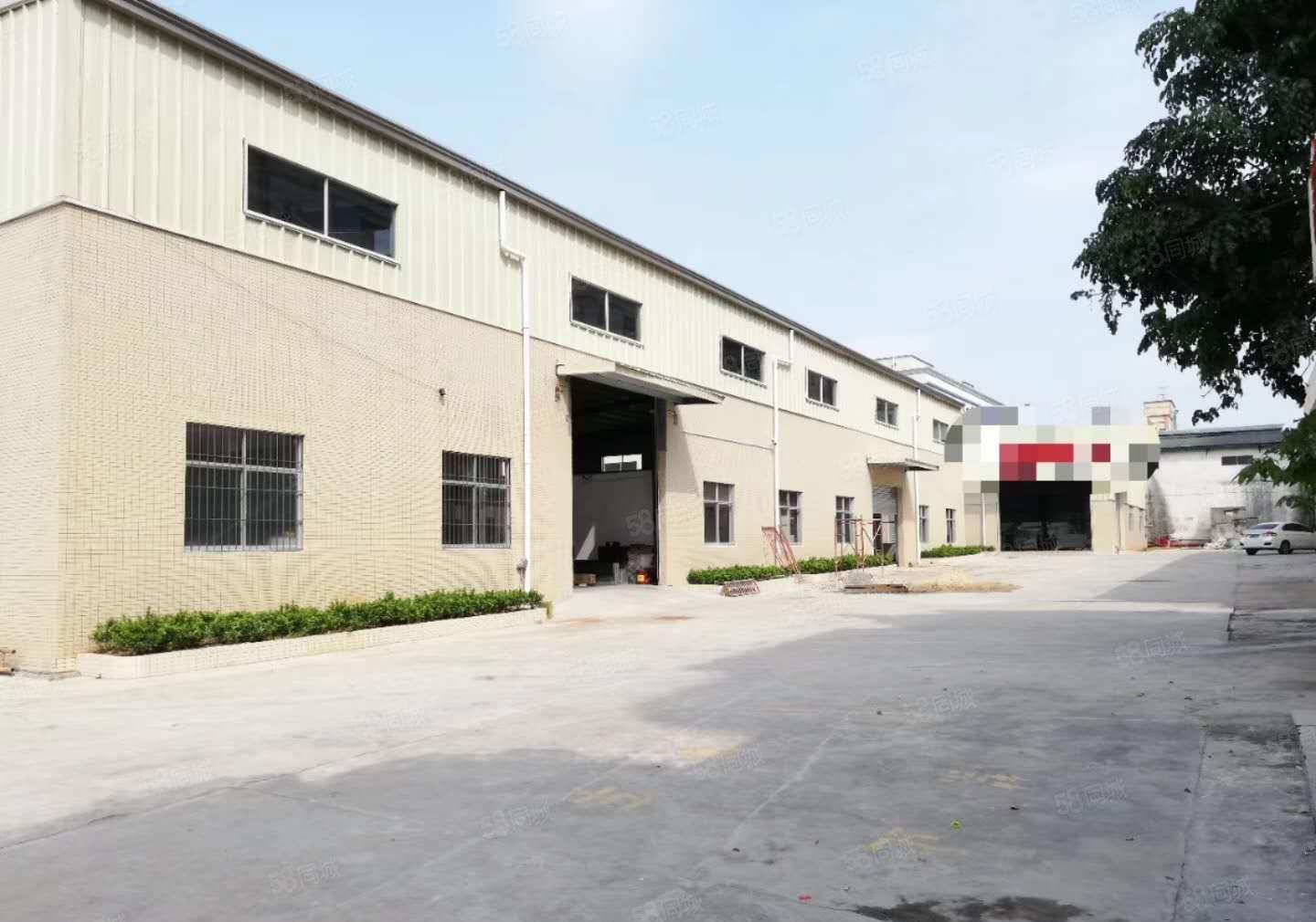 大朗洋坑塘新出钢构厂房出租5500平方 9米高 空地大独院