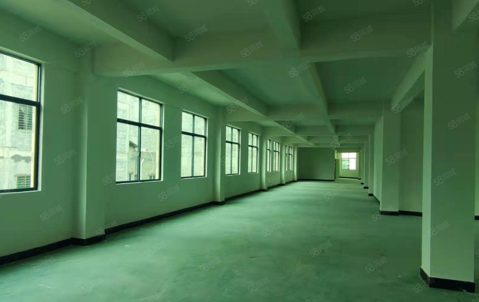 大朗竹山原房东独栋厂房出租，交通方便价格低