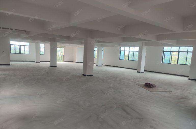 一楼出租带独院 仓库出租  免租期长 行业不限 全新一楼出租