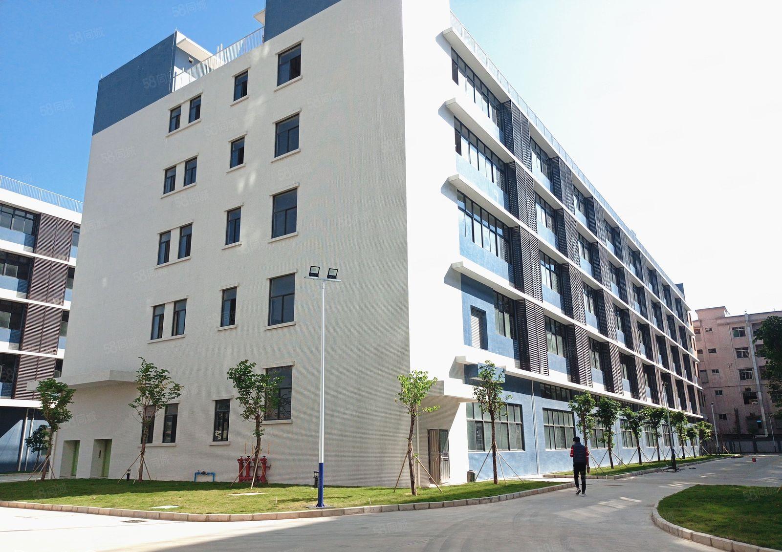 大朗镇新出500平方起分租工业厂房 上市公司形象