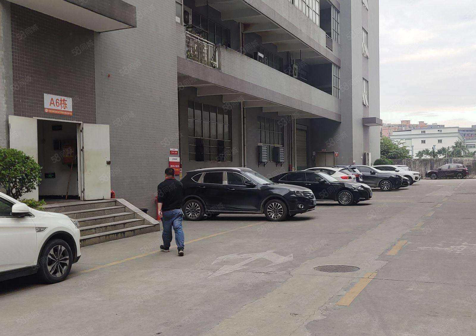 大朗镇新马莲工业区厂房出租，一楼面积700平，带办公室装修