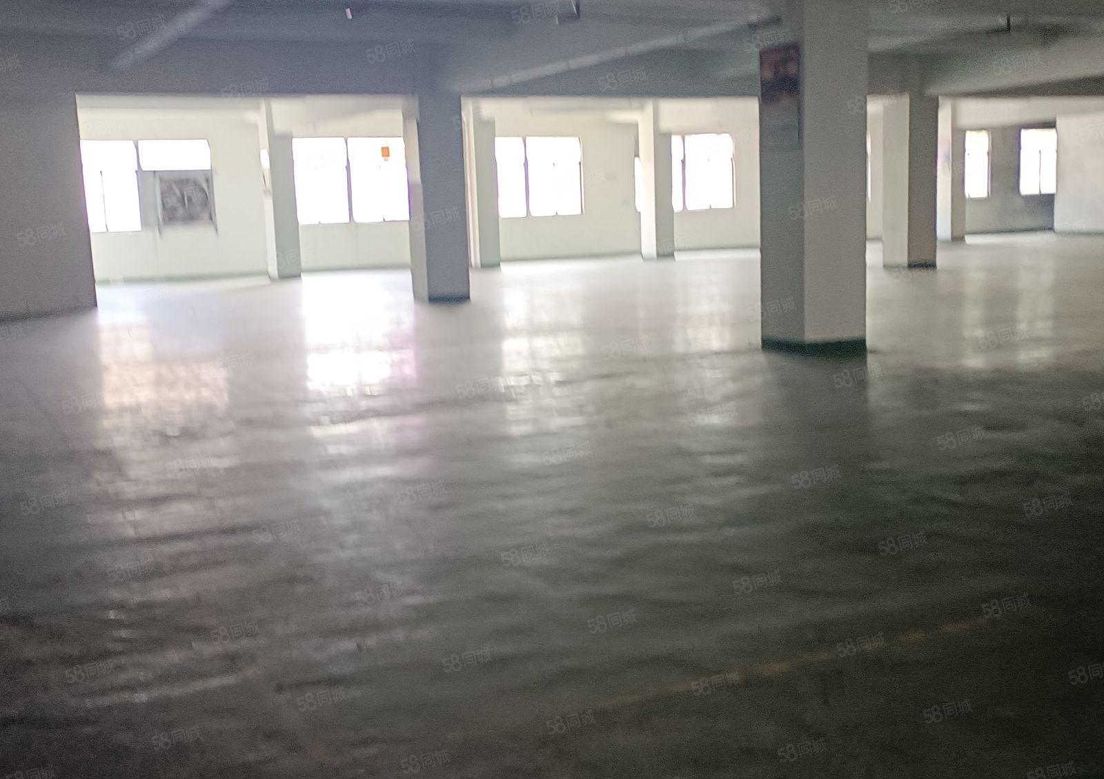 大朗镇高速口工业区楼上1880平，价格实惠交通方便，好招工