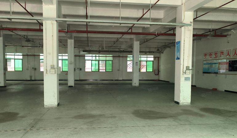 大朗 厂房出租 仓库出租 租写字楼 独门独院 小独院 大岭山