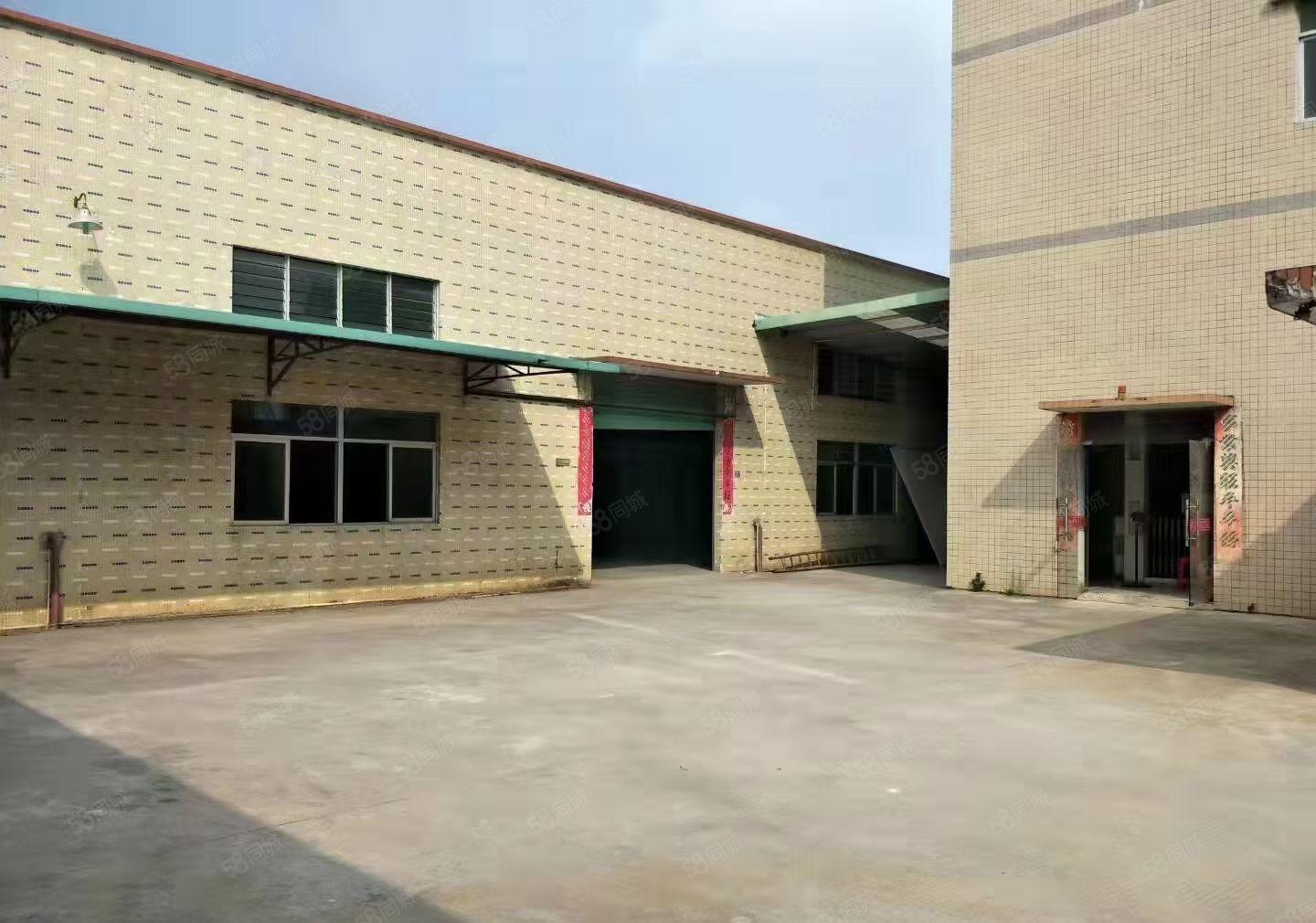 大朗镇沙步村，新出独院单一层厂房总面积2500平，交通便利