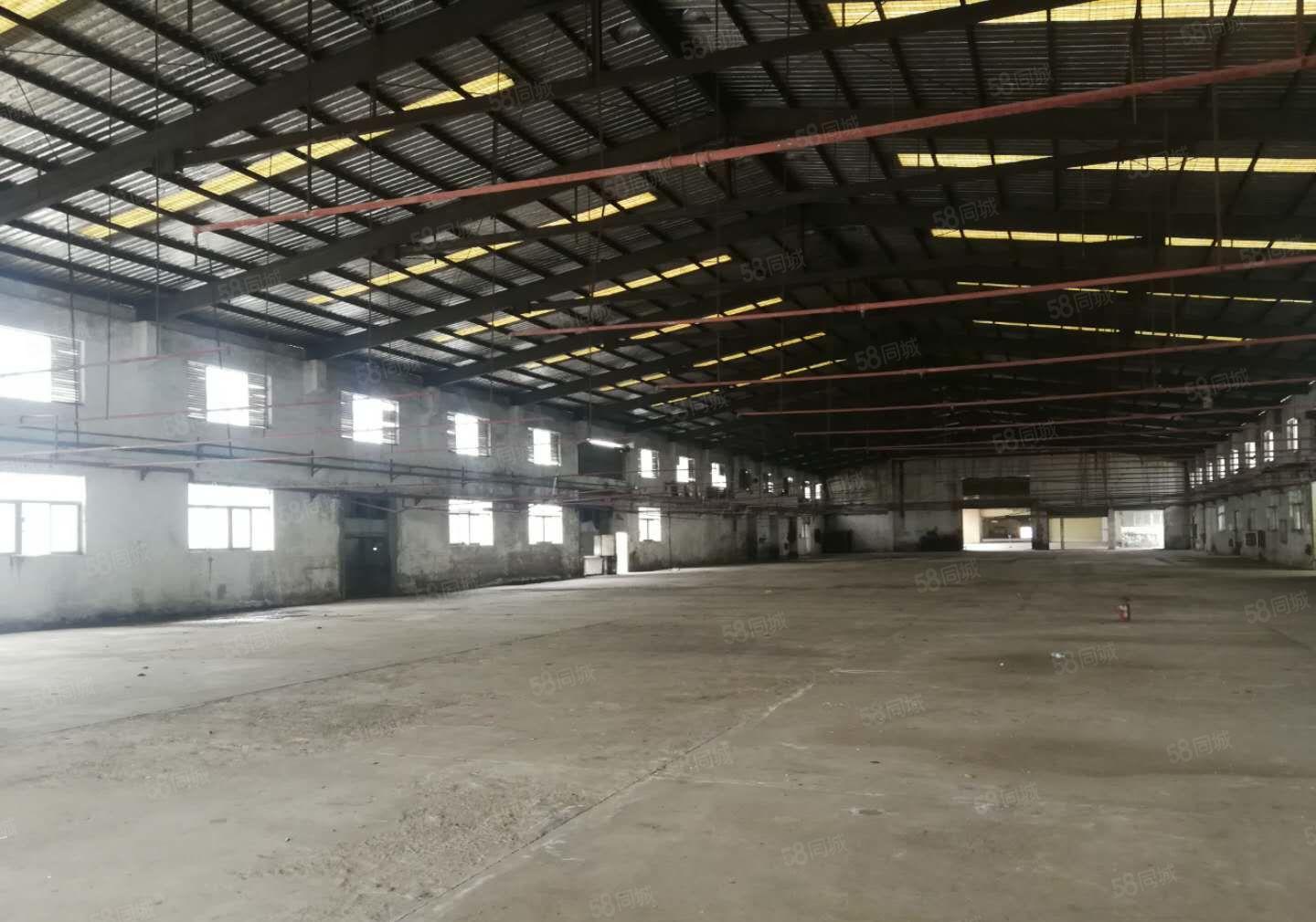 大朗洋坑塘新出钢构厂房出租5500平方 9米高 空地大独院