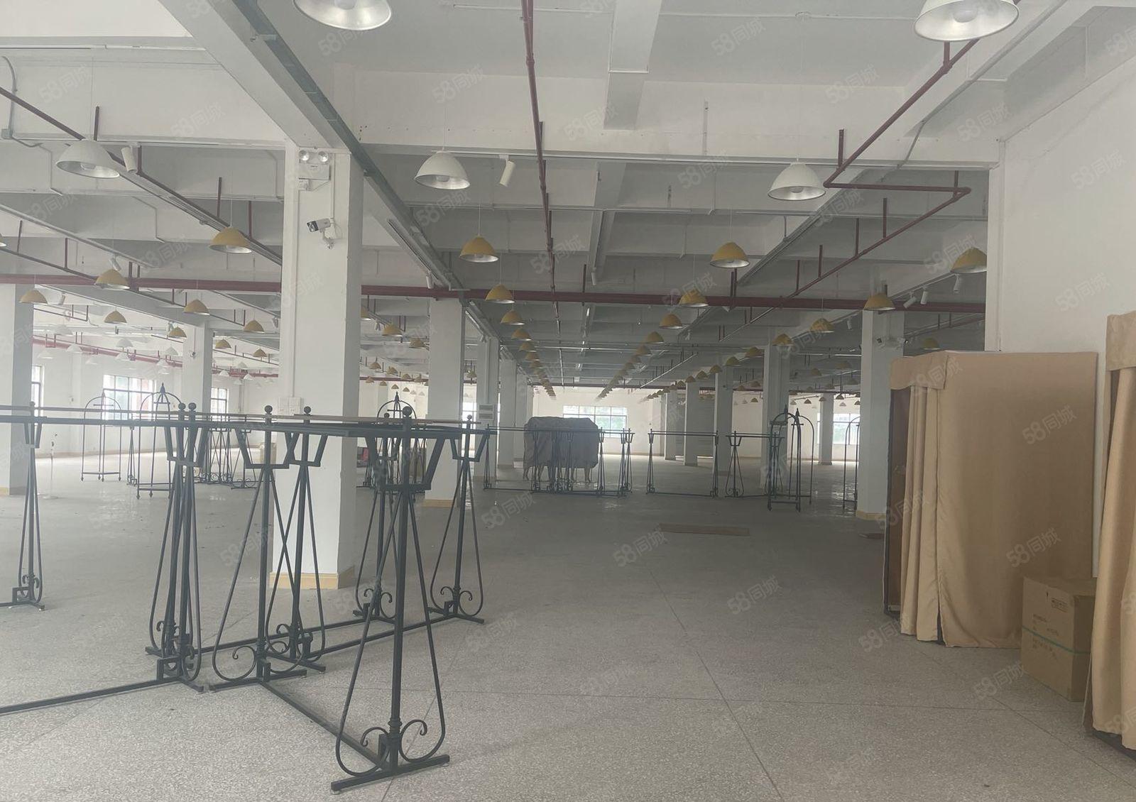 大朗镇新出花园式国有双证齐全独院厂房9500平方