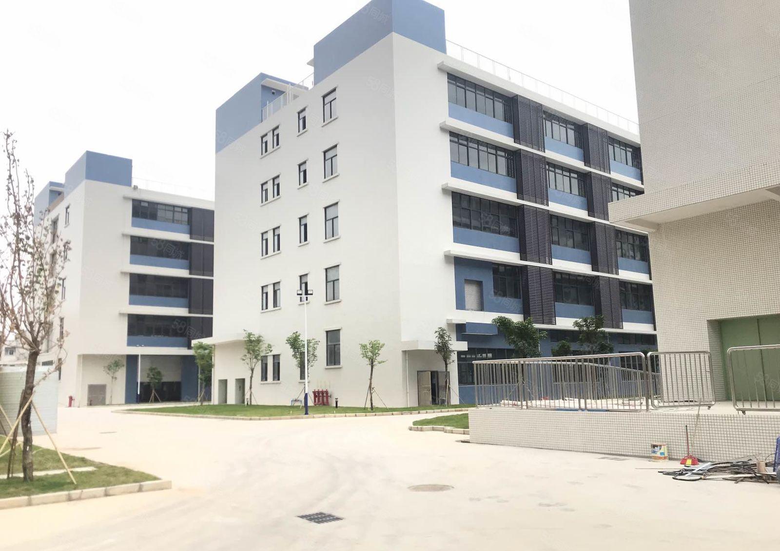 大朗新出原房东4万平花园式独门独院厂房出租，厂房形象大气，