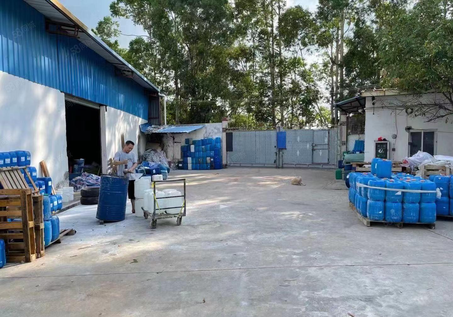 亏本甩租 大朗蔡边820平方独院铁皮房 只租10元