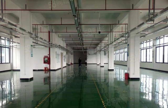 可包租 大朗高英5800平方独院厂房 房东10元急租