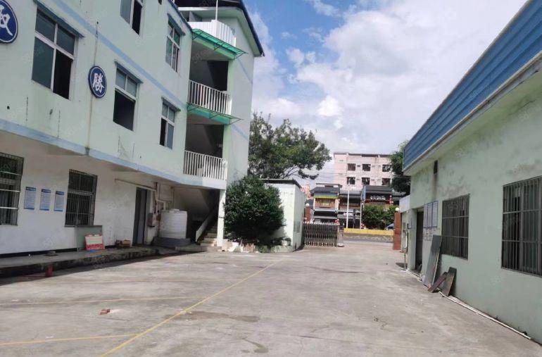 大朗中心附近标准小独院仓库厂房出租3800平低价可分租易招工