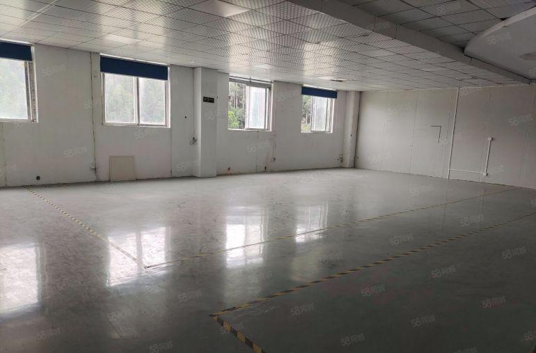 东莞大朗精装原房东厂房出租 950平水电齐全 价格可谈