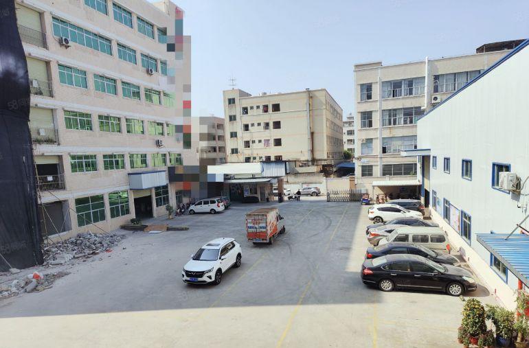 大朗佛新村现空出1200平精装修厂房，适合服装，电商电子贸易