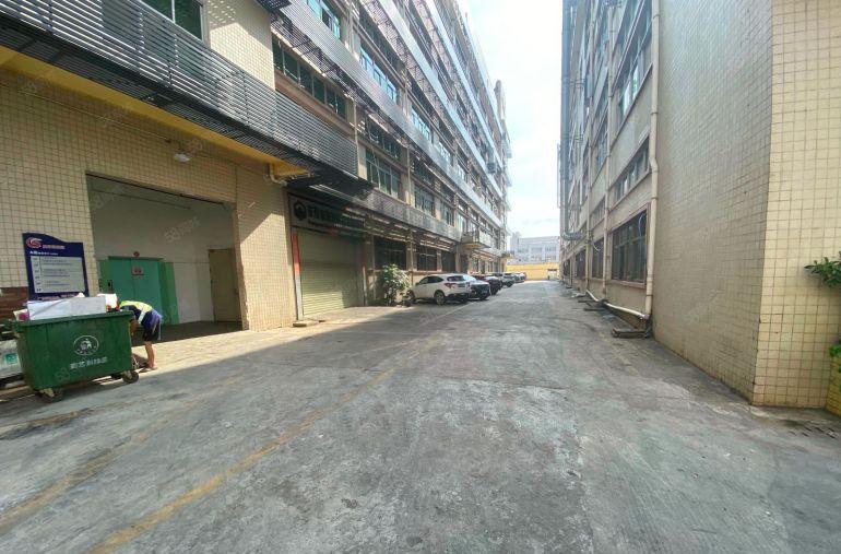 大朗镇湿地公园旁新出一楼厂房850平带装修可办环评