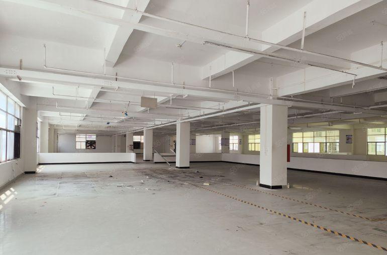 大朗佛新村现空出1200平精装修厂房，适合服装，电商电子贸易