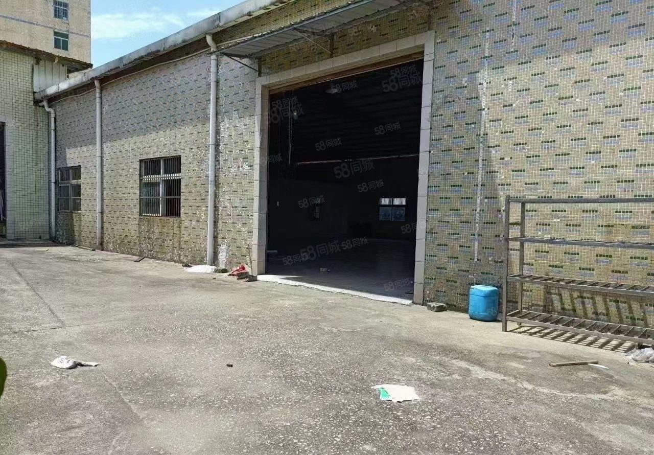 大朗原房东独院单一层钢构厂房出租800平滴水7米有宿舍好进车