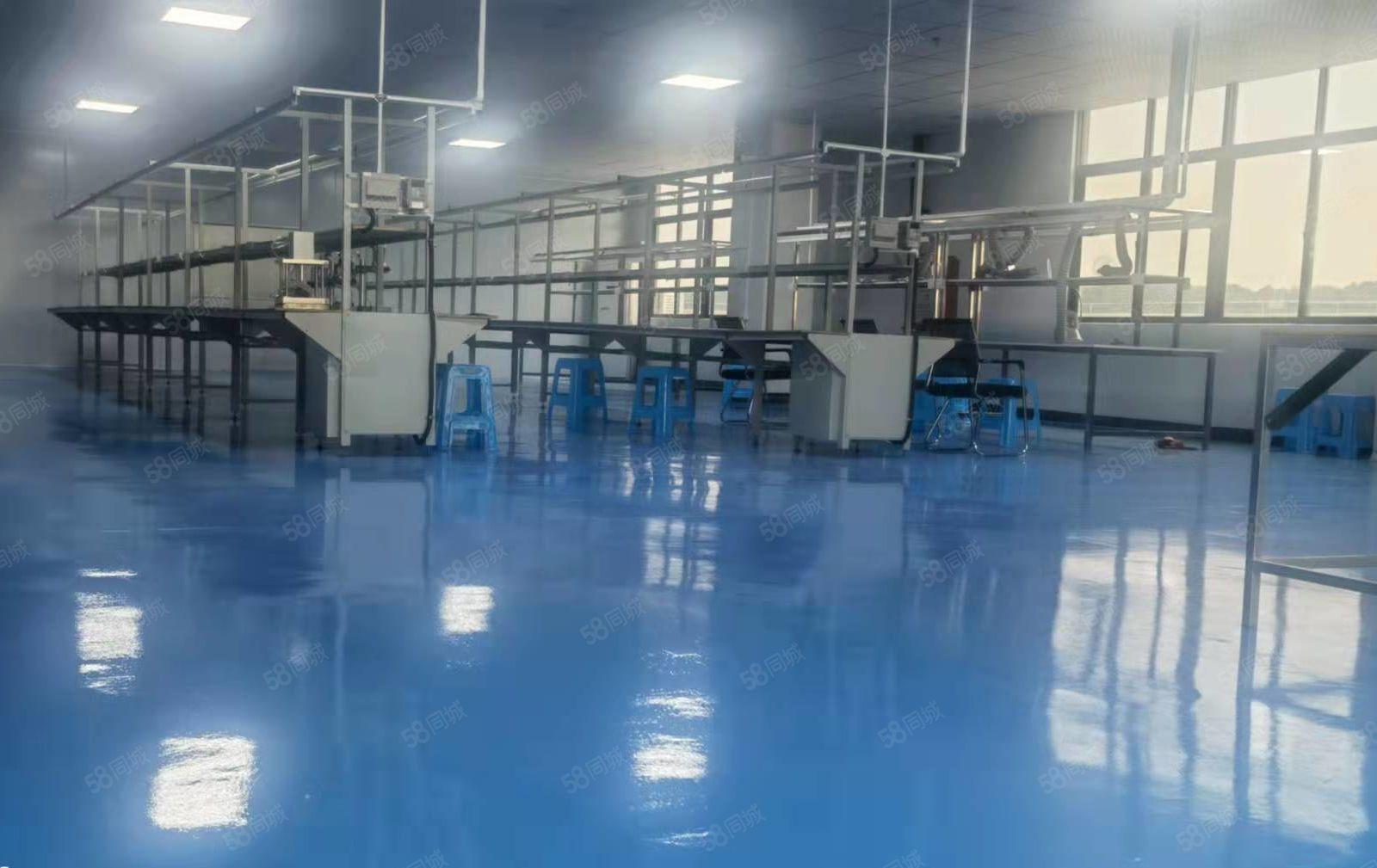 大朗镇工业区带精装修厂房低价出租