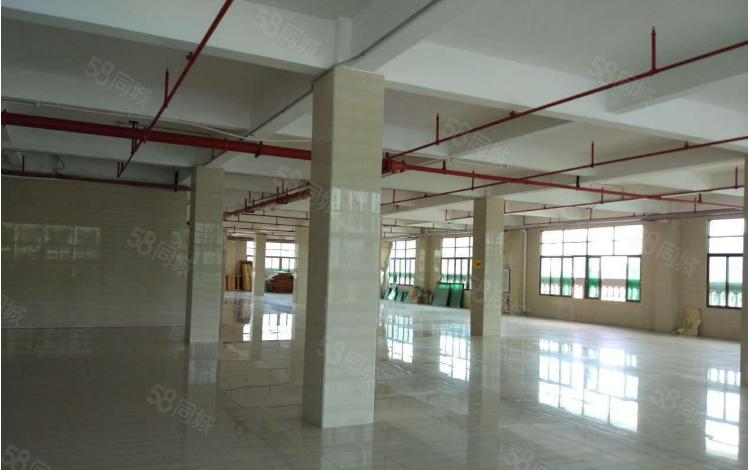 原房东9元招租 大朗竹山3300平方花园式独院厂房带环评