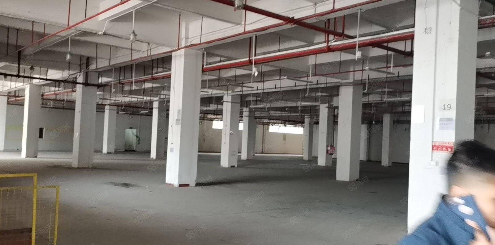 大朗镇带涉水环评，可做电泳酸洗碱洗研磨喷粉喷油磷化氧化等行业