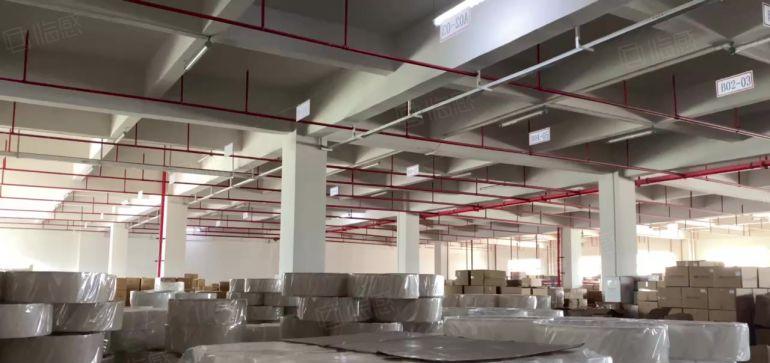 大朗水口14块租标准5.5层高厂房一物业 随时咨询