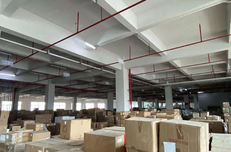 大朗水口14块租标准5.5层高厂房一物业 随时咨询